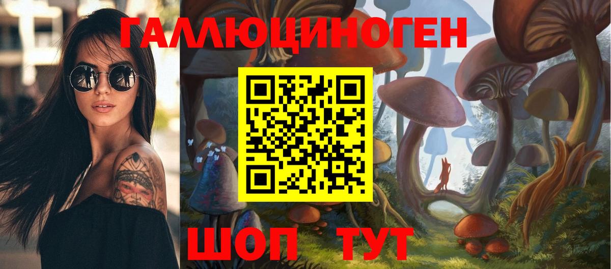 Галлюциногенные грибы Psilocybe  Вход с VPN  Домодедово 